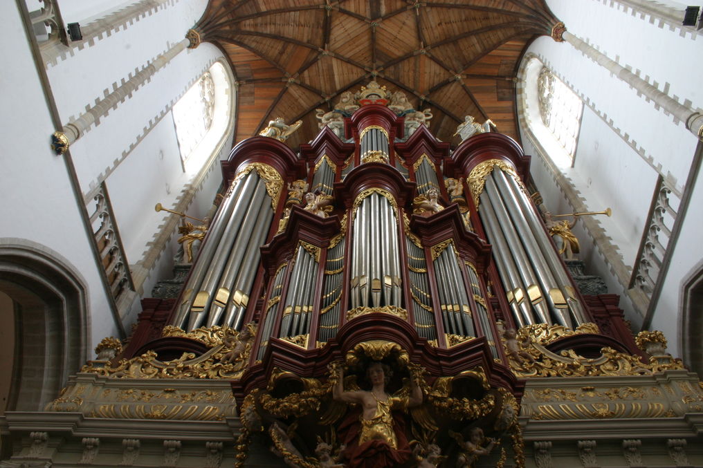St. Bavo Haarlem_Feike Asma_Diamond line